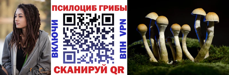 цены   Бердск  Псилоцибиновые грибы Cubensis 