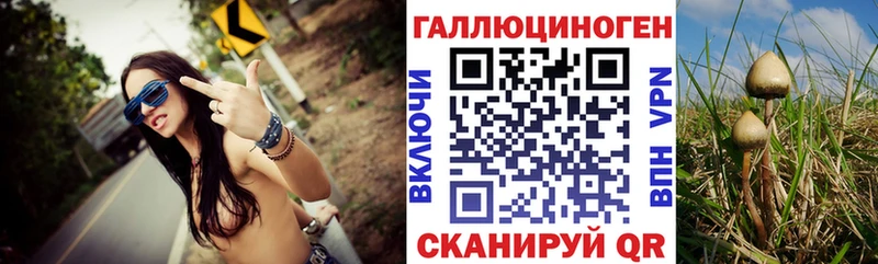 Галлюциногенные грибы мицелий Бердск