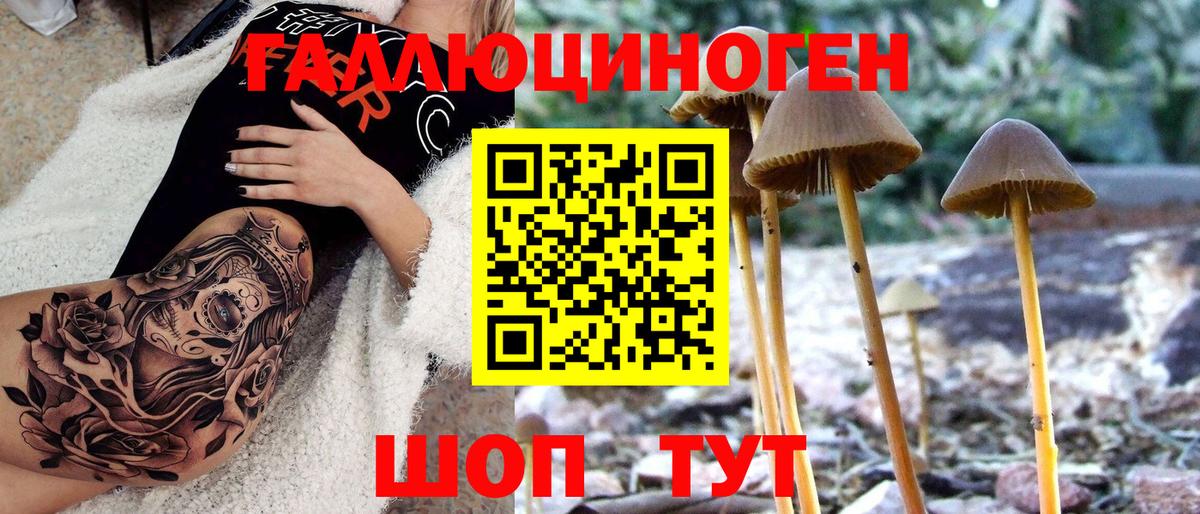 Псилоцибиновые грибы MAGIC MUSHROOMS Бердск